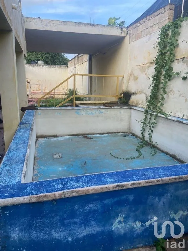 Local en Venta en Bojorquez, Mérida, Yucatán | NEX-230937 | iad México | Foto 3 de 19