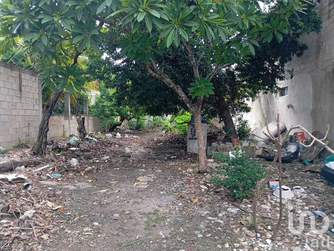 Terreno en Venta en Maya, Mérida, Yucatán | NEX-231865 | iad México | Foto 2 de 6