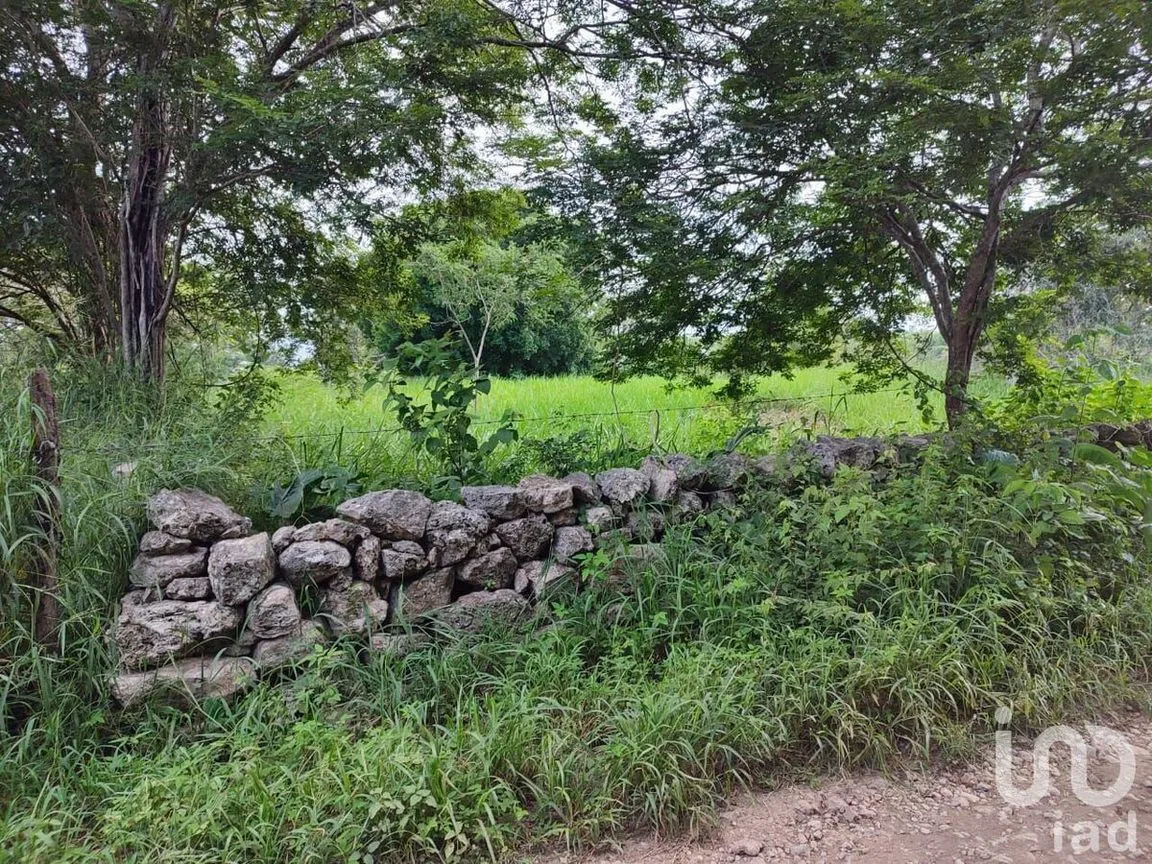 Terreno en Venta en Buctzotz, Buctzotz, Yucatán | NEX-232166 | iad México | Foto 3 de 5