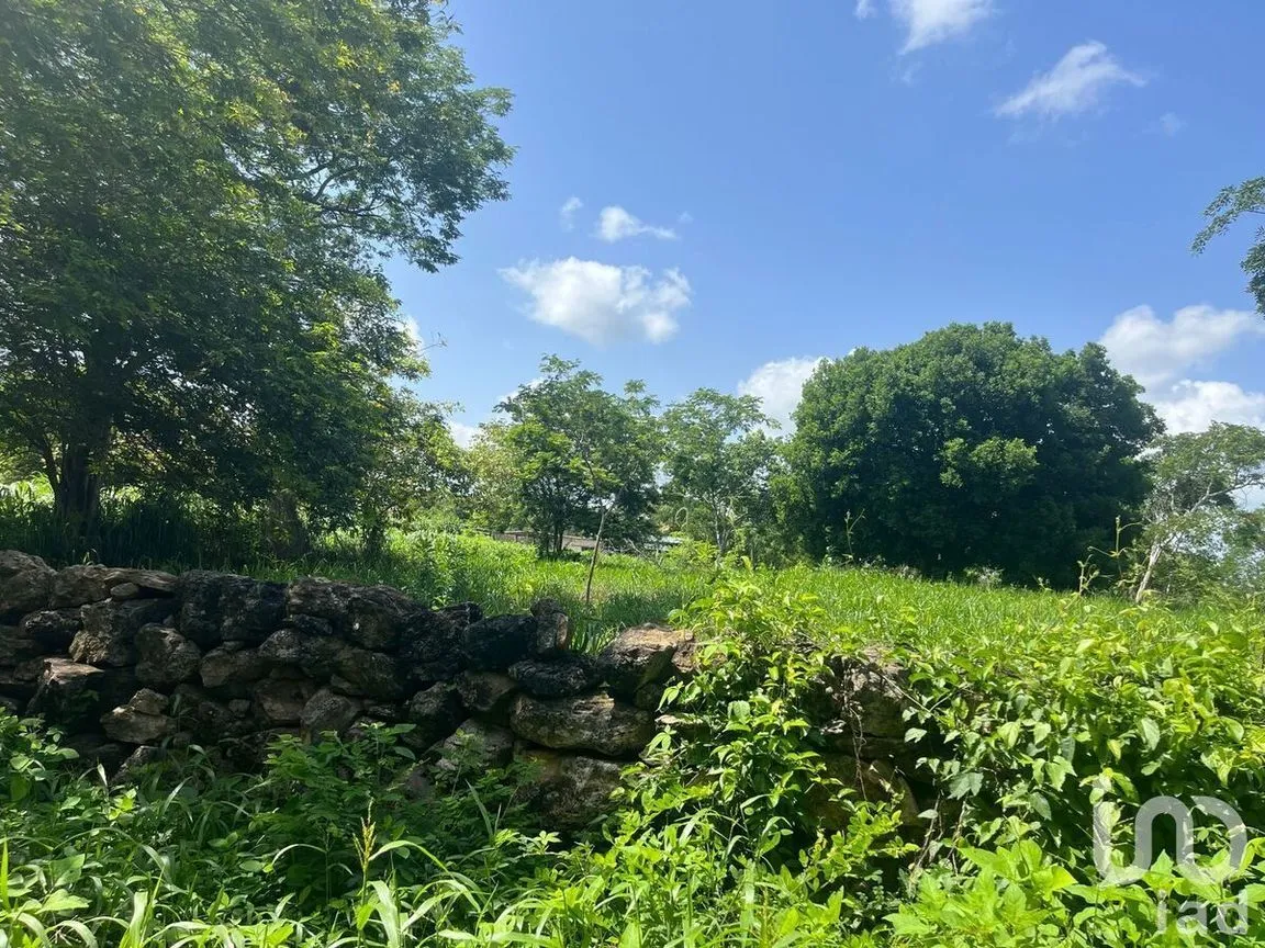 Terreno en Venta en Buctzotz, Buctzotz, Yucatán | NEX-232166 | iad México | Foto 5 de 5