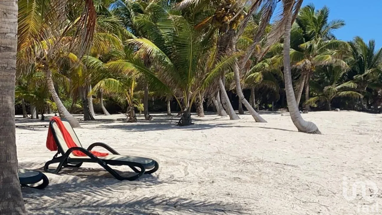 Terreno en Venta en Mahahual, Othón P. Blanco, Quintana Roo | NEX-279185 | iad México | Foto 4 de 6