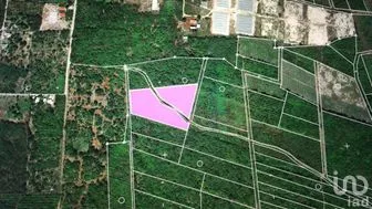 NEX-279188 - Terreno en Venta en Tixkuncheil, CP 97452, Yucatán.