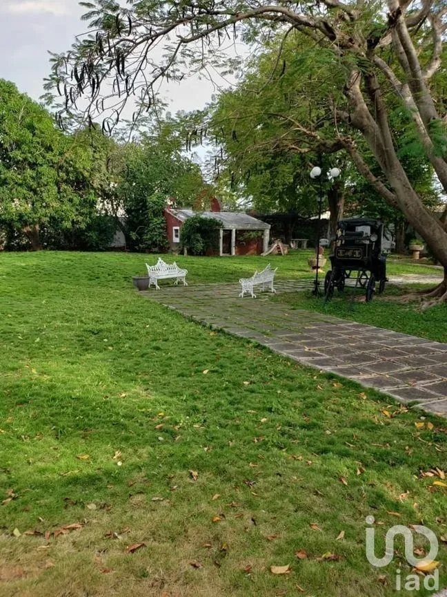 Terreno en Venta en México Norte, Mérida, Yucatán | NEX-279198 | iad México | Foto 12 de 16