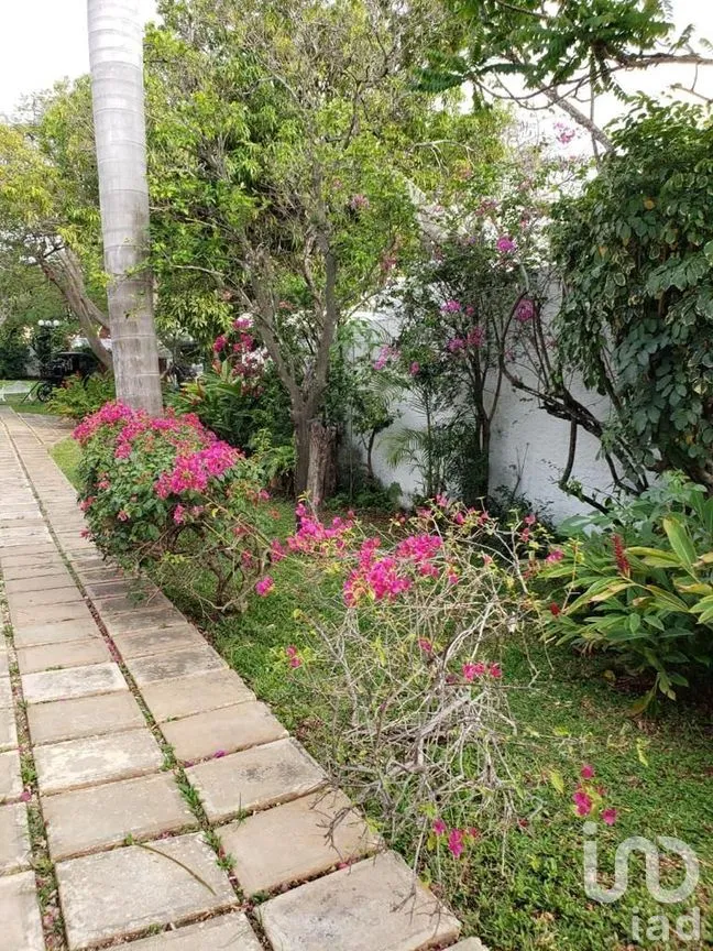 Terreno en Venta en México Norte, Mérida, Yucatán | NEX-279198 | iad México | Foto 13 de 16
