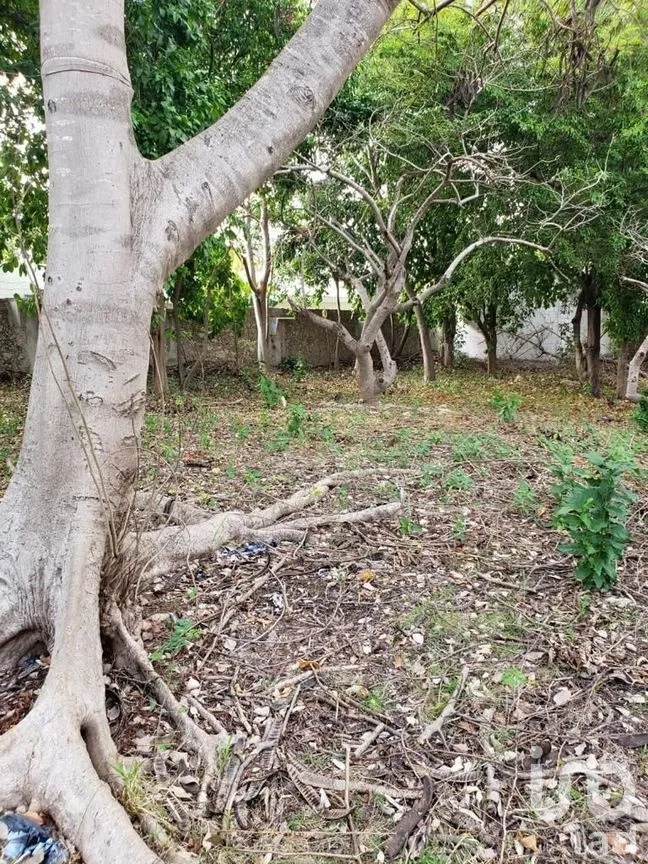 Terreno en Venta en México Norte, Mérida, Yucatán | NEX-279198 | iad México | Foto 16 de 16