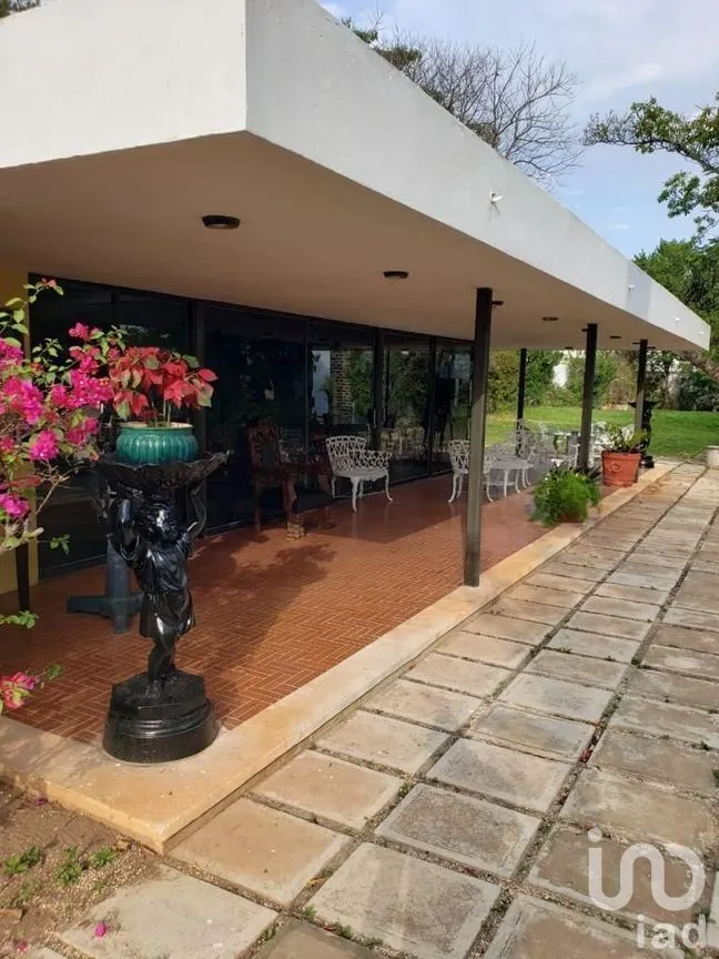Terreno en Venta en México Norte, Mérida, Yucatán | NEX-279198 | iad México | Foto 6 de 16
