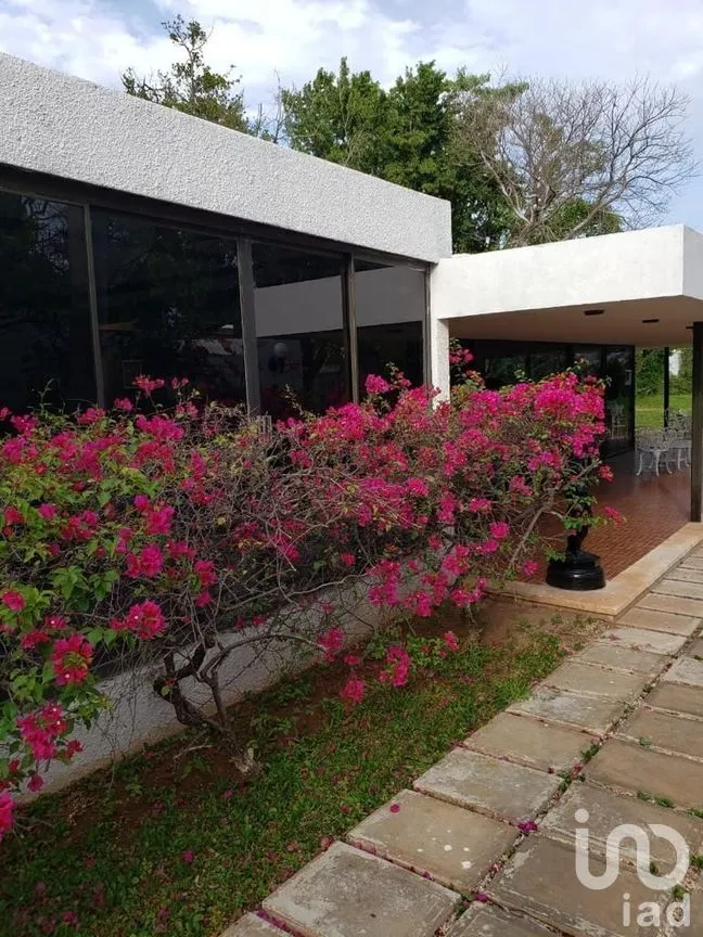 Terreno en Venta en México Norte, Mérida, Yucatán | NEX-279198 | iad México | Foto 7 de 16