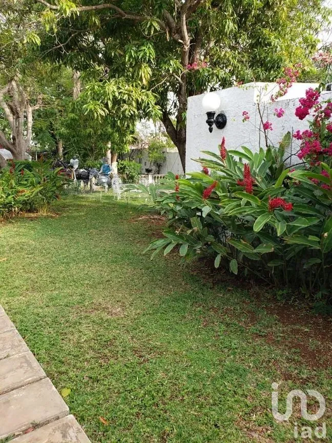 Terreno en Venta en México Norte, Mérida, Yucatán | NEX-279198 | iad México | Foto 8 de 16
