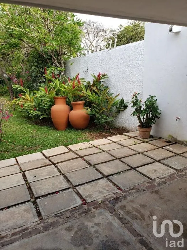 Terreno en Venta en México Norte, Mérida, Yucatán | NEX-279198 | iad México | Foto 9 de 16
