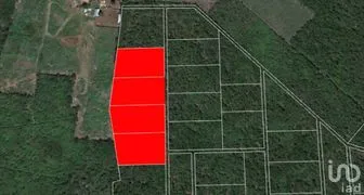 NEX-279201 - Terreno en Venta en Tixkuncheil, CP 97452, Yucatán.