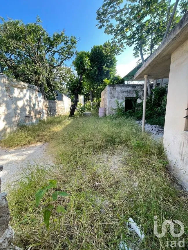 Casa en Venta en Mérida Centro, Mérida, Yucatán | NEX-279209 | iad México | Foto 4 de 8