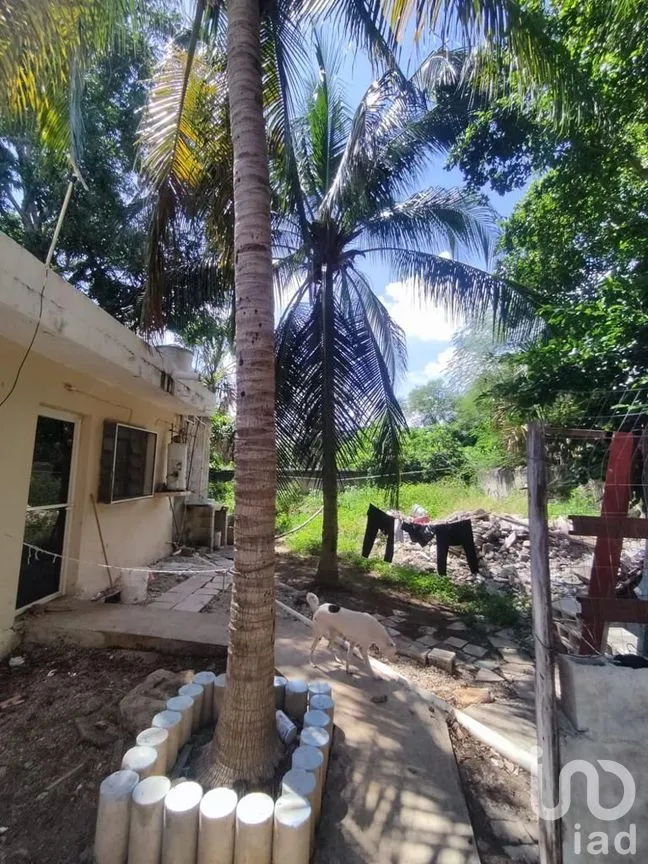Casa en Venta en Mérida Centro, Mérida, Yucatán | NEX-279215 | iad México | Foto 25 de 33