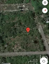 NEX-279234 - Terreno en Venta en Dzityá, CP 97302, Yucatán.