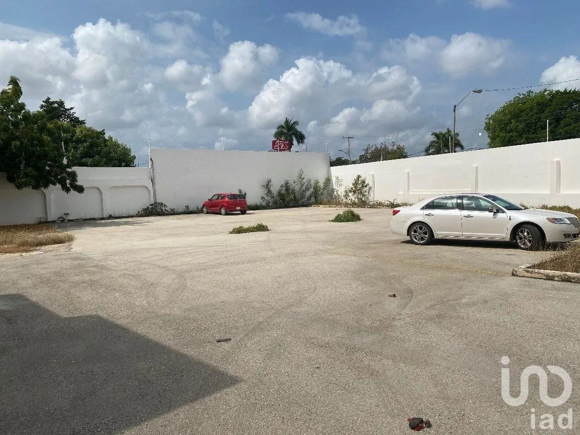 Oficina en Renta en Garcia Gineres, Mérida, Yucatán | NEX-279236 | iad México | Foto 3 de 15