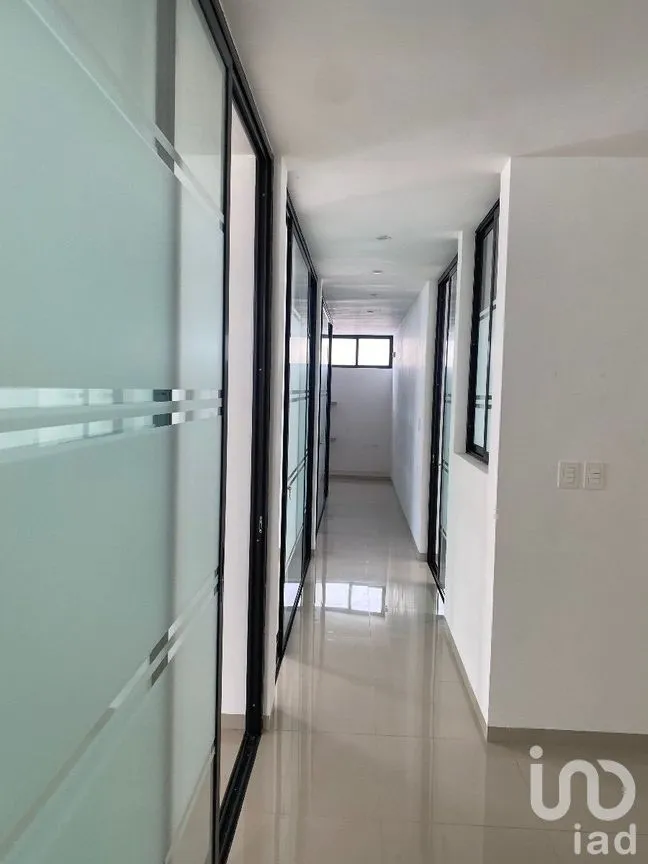 Oficina en Renta en Garcia Gineres, Mérida, Yucatán | NEX-279236 | iad México | Foto 7 de 15