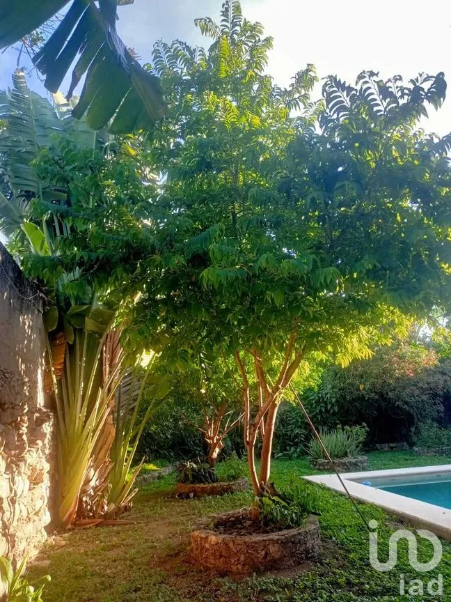 Casa en Venta en Mérida Centro, Mérida, Yucatán | NEX-279277 | iad México | Foto 24 de 36