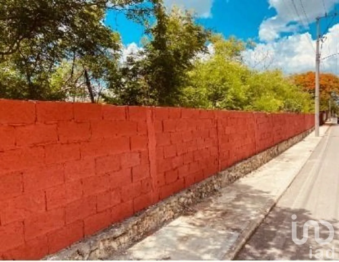 Terreno en Venta en Conkal, Conkal, Yucatán | NEX-279306 | iad México | Foto 3 de 11
