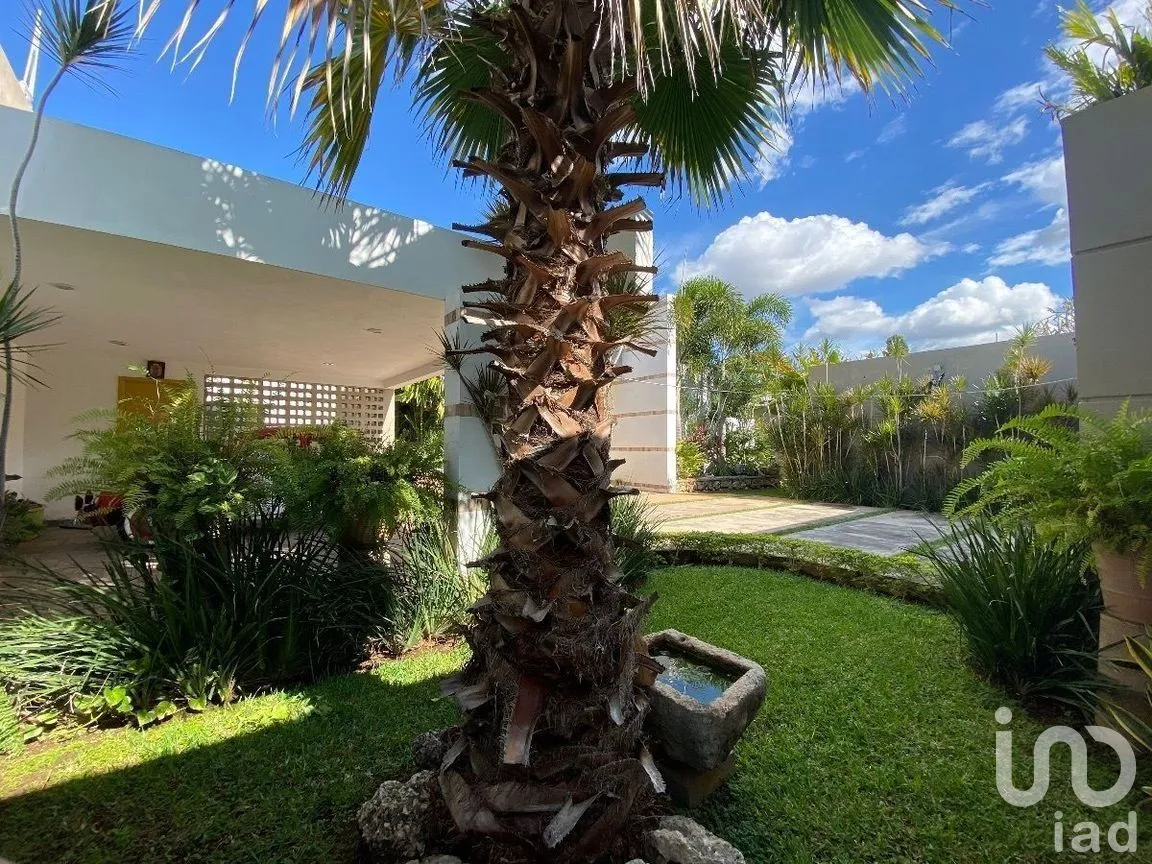 Casa en Venta en San Nicolás Del Norte, Mérida, Yucatán | NEX-279397 | iad México | Foto 3 de 24