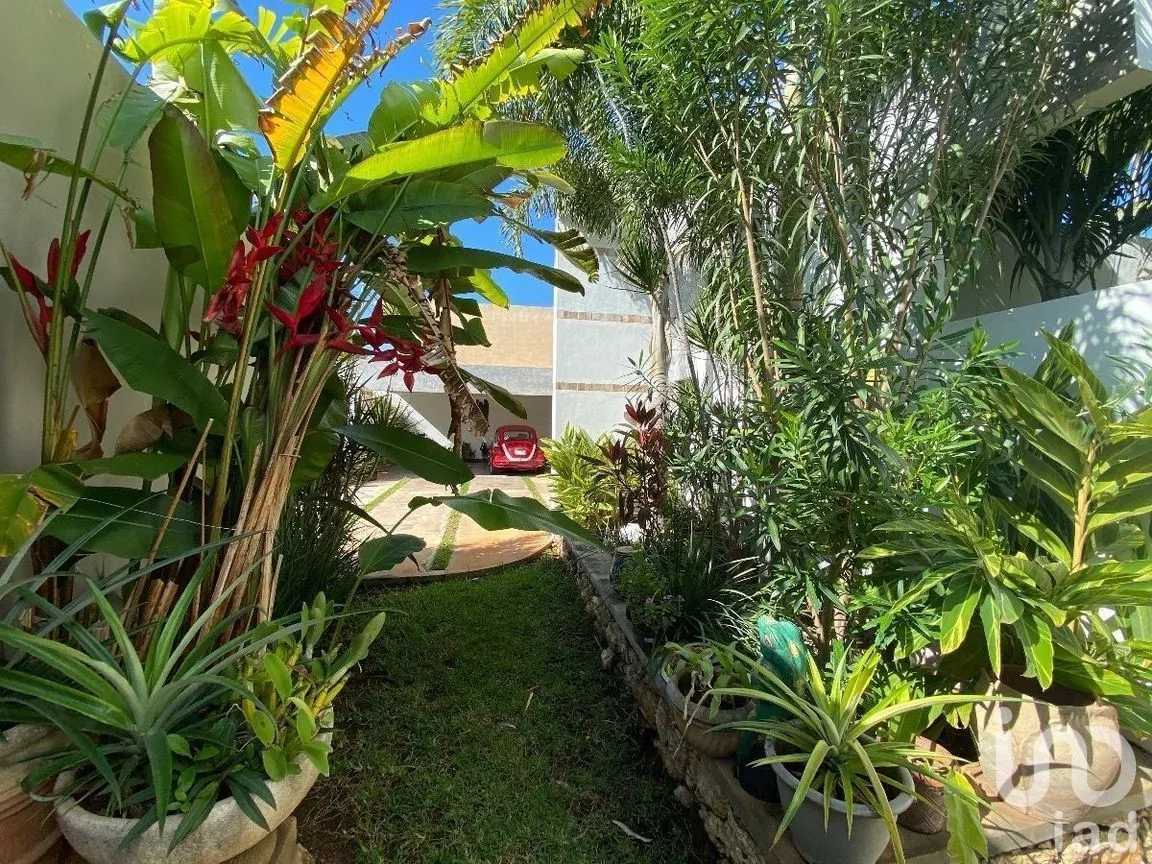 Casa en Venta en San Nicolás Del Norte, Mérida, Yucatán | NEX-279397 | iad México | Foto 5 de 24