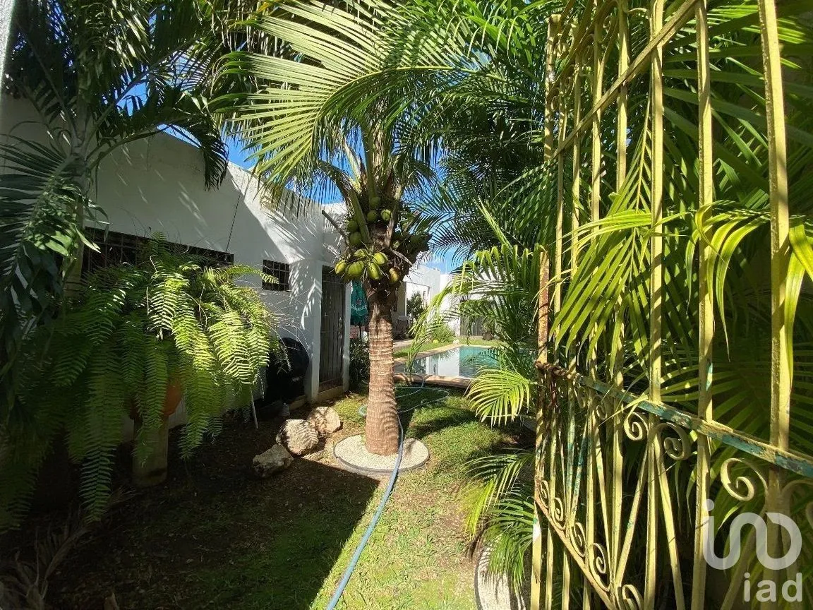 Casa en Venta en San Nicolás Del Norte, Mérida, Yucatán | NEX-279397 | iad México | Foto 7 de 24
