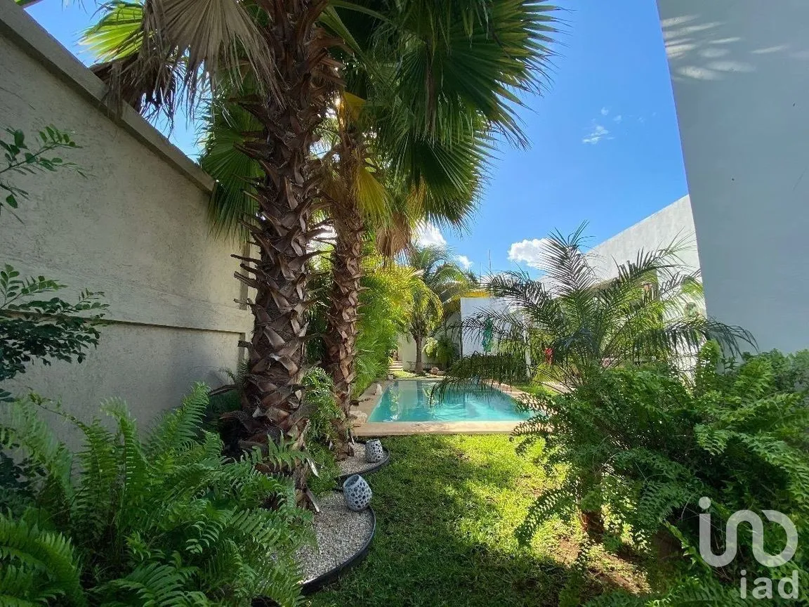 Casa en Venta en San Nicolás Del Norte, Mérida, Yucatán | NEX-279397 | iad México | Foto 8 de 24