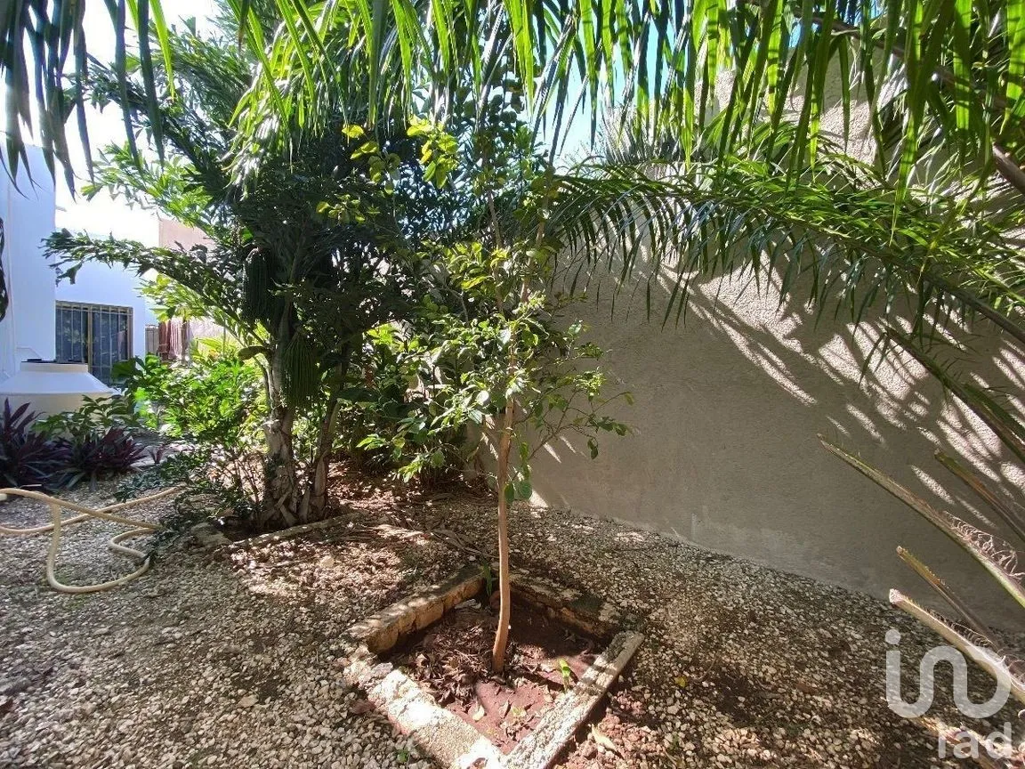 Casa en Venta en San Nicolás Del Norte, Mérida, Yucatán | NEX-279397 | iad México | Foto 9 de 24