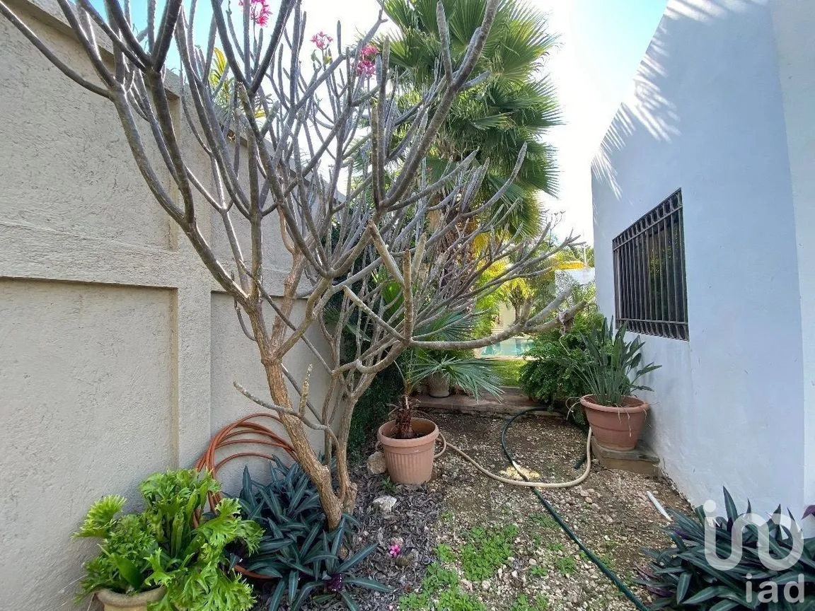 Casa en Venta en San Nicolás Del Norte, Mérida, Yucatán | NEX-279397 | iad México | Foto 10 de 24
