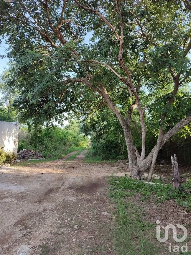 Terreno en Venta en Cholul, Mérida, Yucatán | NEX-279402 | iad México | Foto 3 de 5