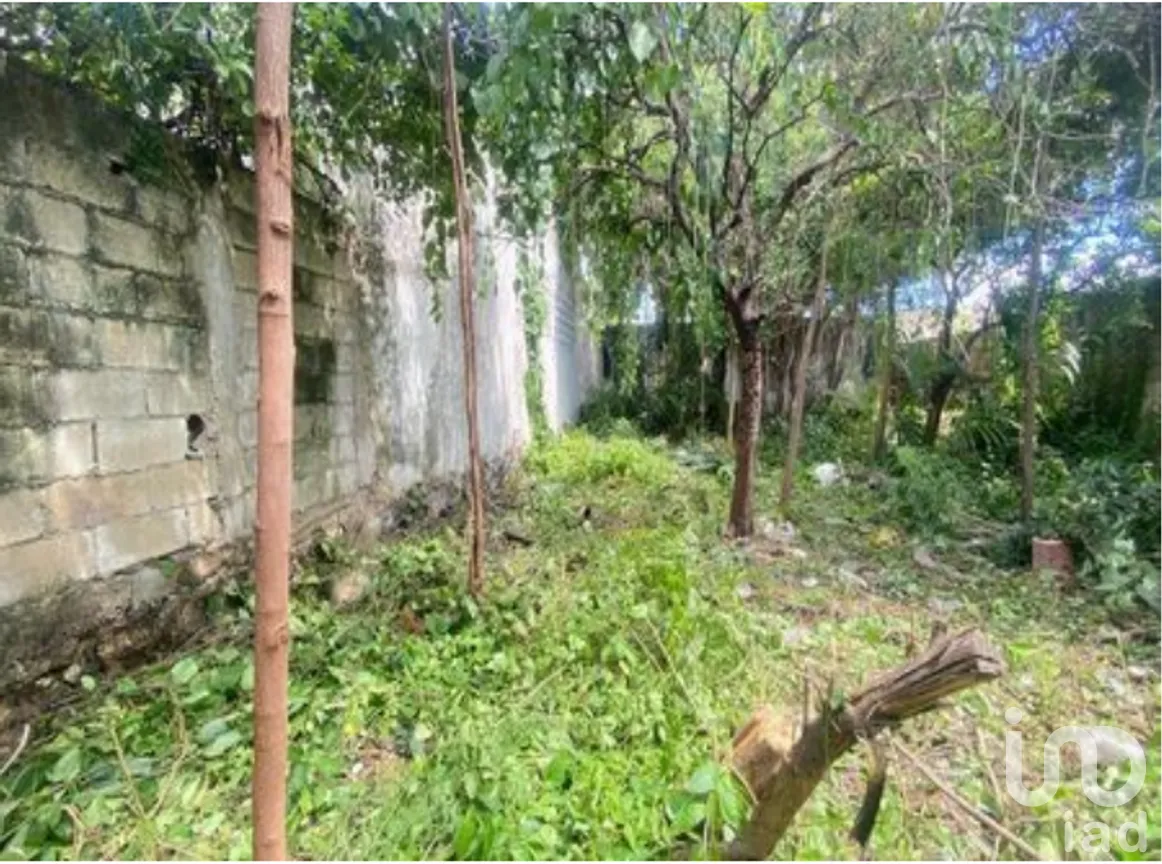 Casa en Venta en Mérida Centro, Mérida, Yucatán | NEX-279404 | iad México | Foto 9 de 9