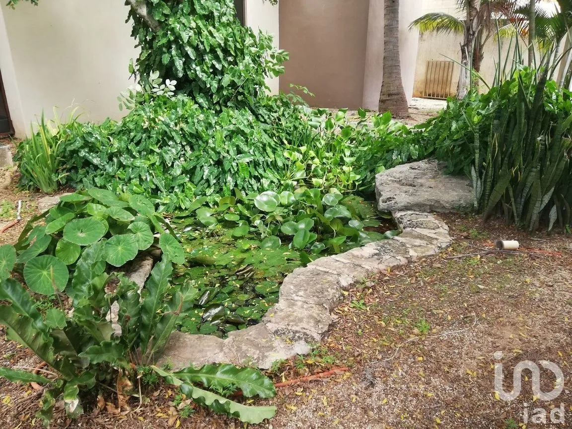 Casa en Venta en Dzityá, Mérida, Yucatán | NEX-279430 | iad México | Foto 38 de 46