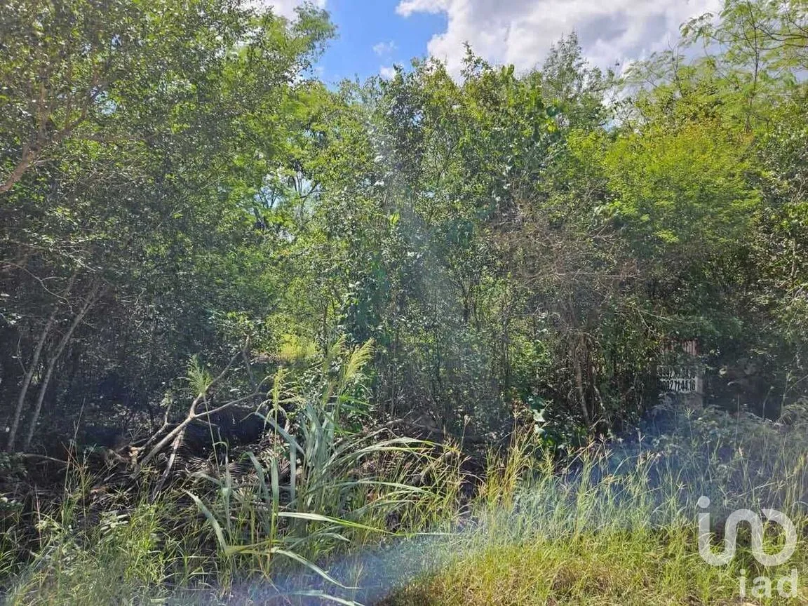 Terreno en Venta en Conkal, Conkal, Yucatán | NEX-279438 | iad México | Foto 2 de 7