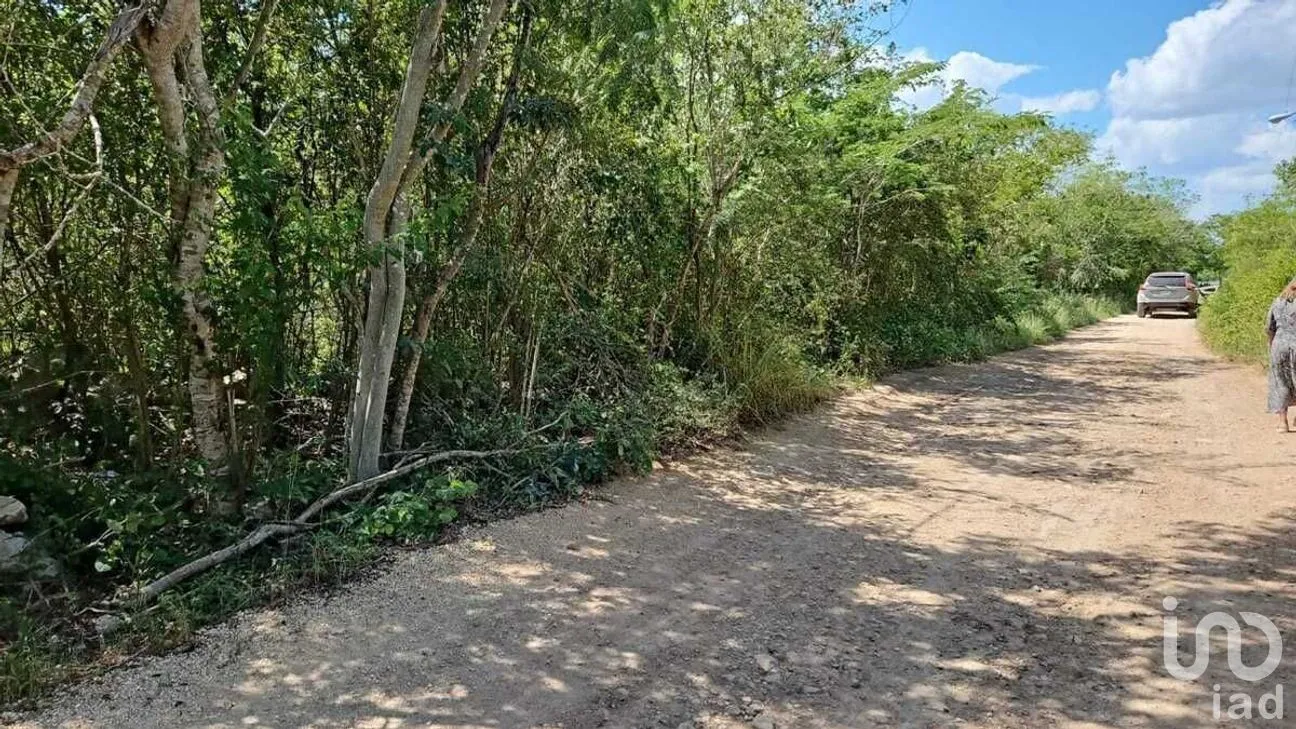 Terreno en Venta en Conkal, Conkal, Yucatán | NEX-279438 | iad México | Foto 3 de 7