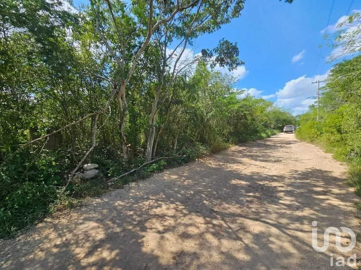 Terreno en Venta en Conkal, Conkal, Yucatán | NEX-279438 | iad México | Foto 4 de 7