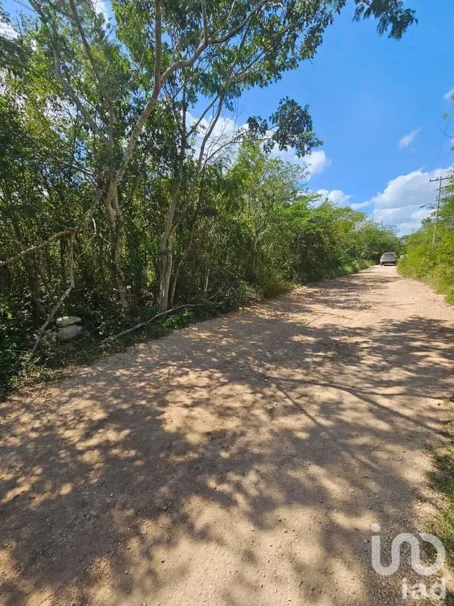 Terreno en Venta en Conkal, Conkal, Yucatán | NEX-279438 | iad México | Foto 6 de 7