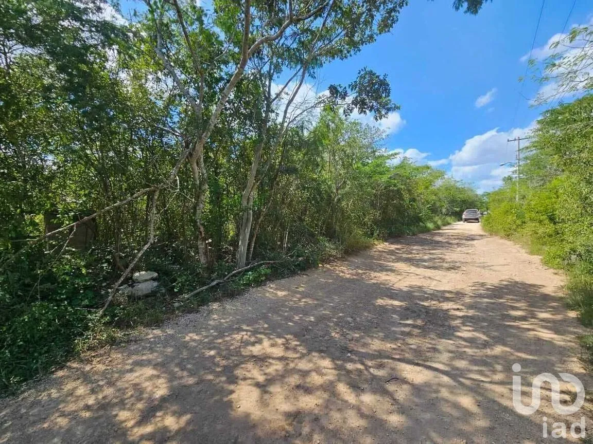 Terreno en Venta en Conkal, Conkal, Yucatán | NEX-279438 | iad México | Foto 7 de 7
