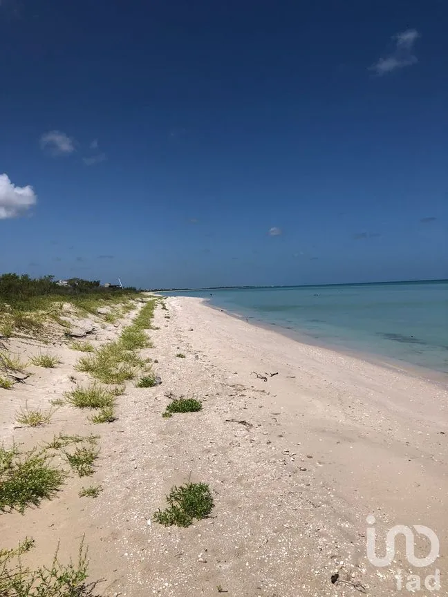 Terreno en Venta en Sisal, Hunucmá, Yucatán | NEX-279444 | iad México | Foto 2 de 5