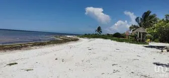 NEX-279466 - Terreno en Venta en Santa Clara, CP 97504, Yucatán.