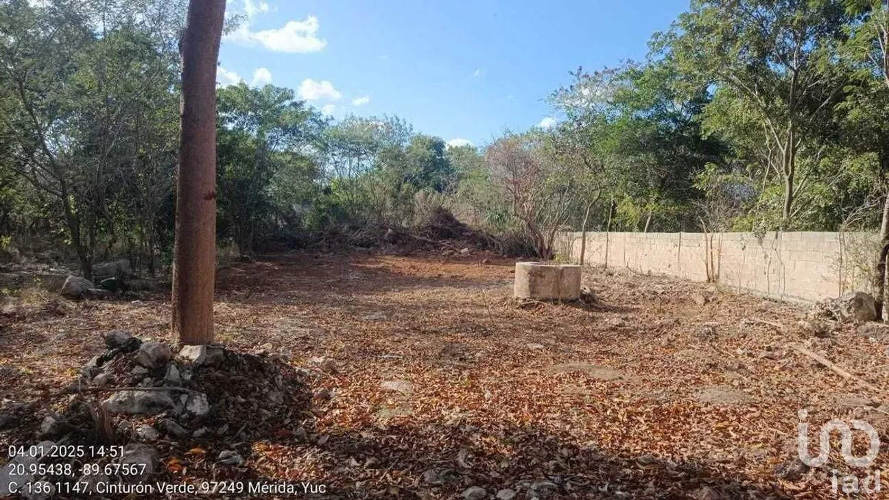 Terreno en Venta en Juan Pablo II, Mérida, Yucatán | NEX-279523 | iad México | Foto 5 de 10