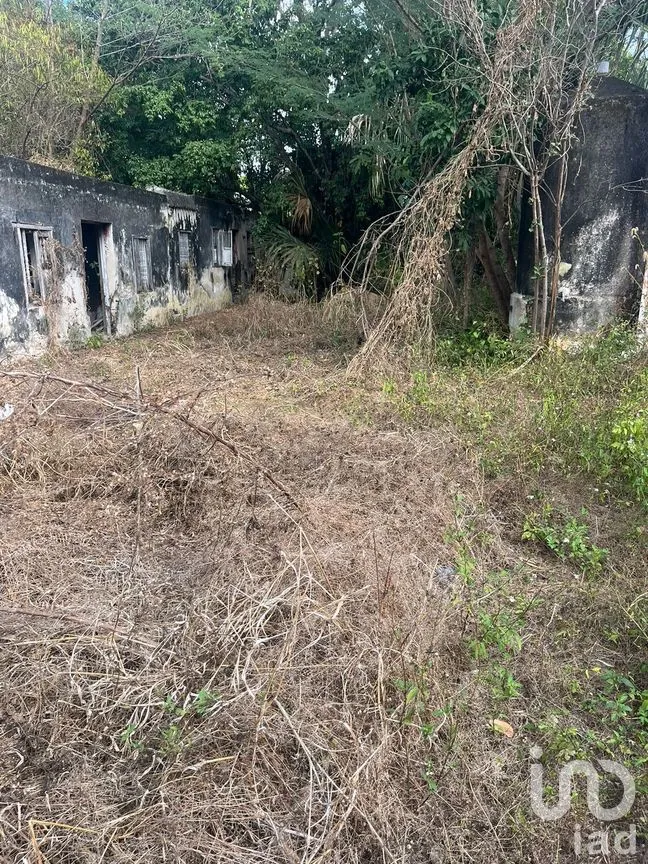 Terreno en Venta en Mérida Centro, Mérida, Yucatán | NEX-279548 | iad México | Foto 3 de 6