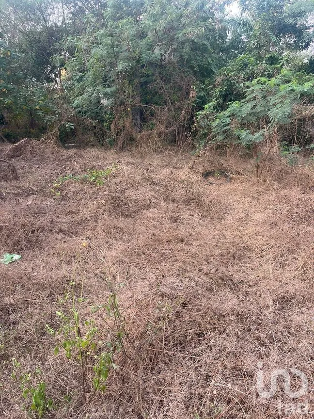 Terreno en Venta en Mérida Centro, Mérida, Yucatán | NEX-279548 | iad México | Foto 5 de 6