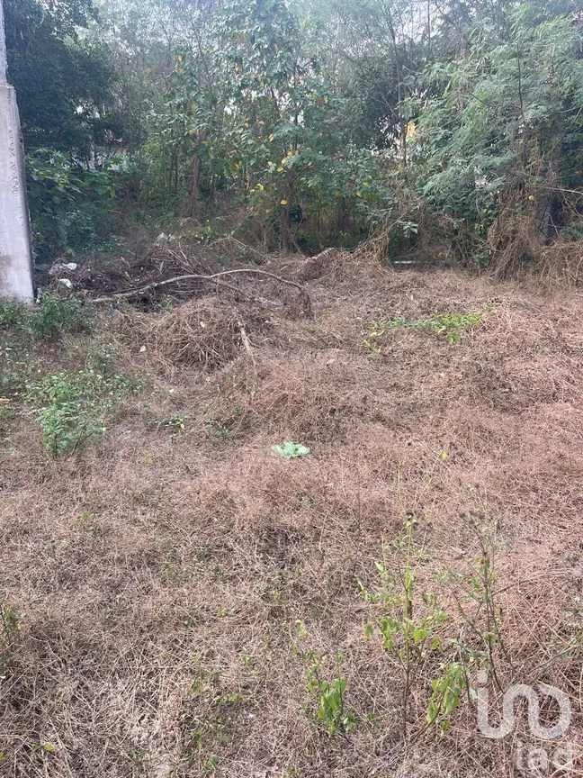 Terreno en Venta en Mérida Centro, Mérida, Yucatán | NEX-279548 | iad México | Foto 6 de 6