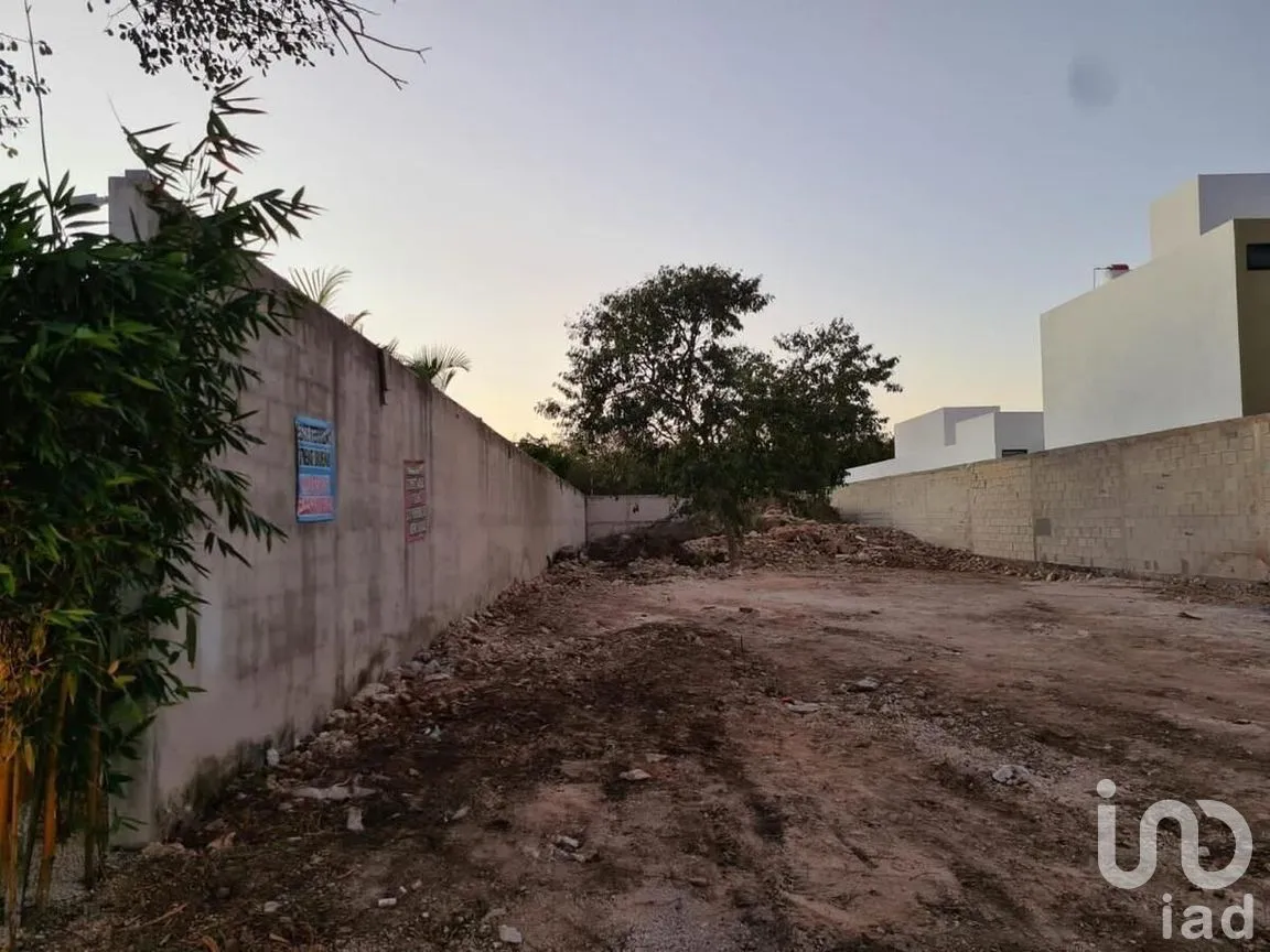Terreno en Venta en Conkal, Conkal, Yucatán | NEX-279554 | iad México | Foto 4 de 15