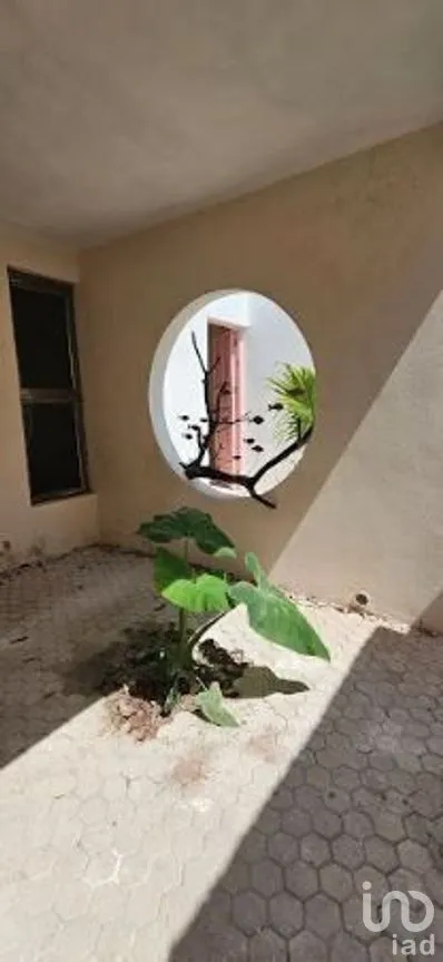 Casa en Venta en San Crisanto, Sinanché, Yucatán | NEX-279560 | iad México | Foto 7 de 15