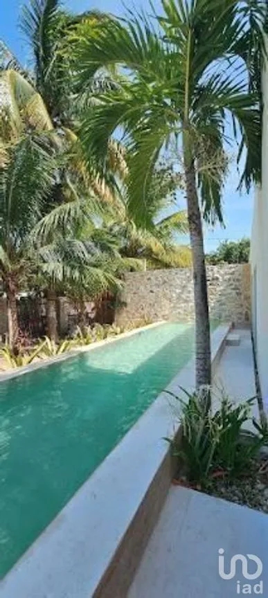 Casa en Venta en San Crisanto, Sinanché, Yucatán | NEX-279560 | iad México | Foto 8 de 15