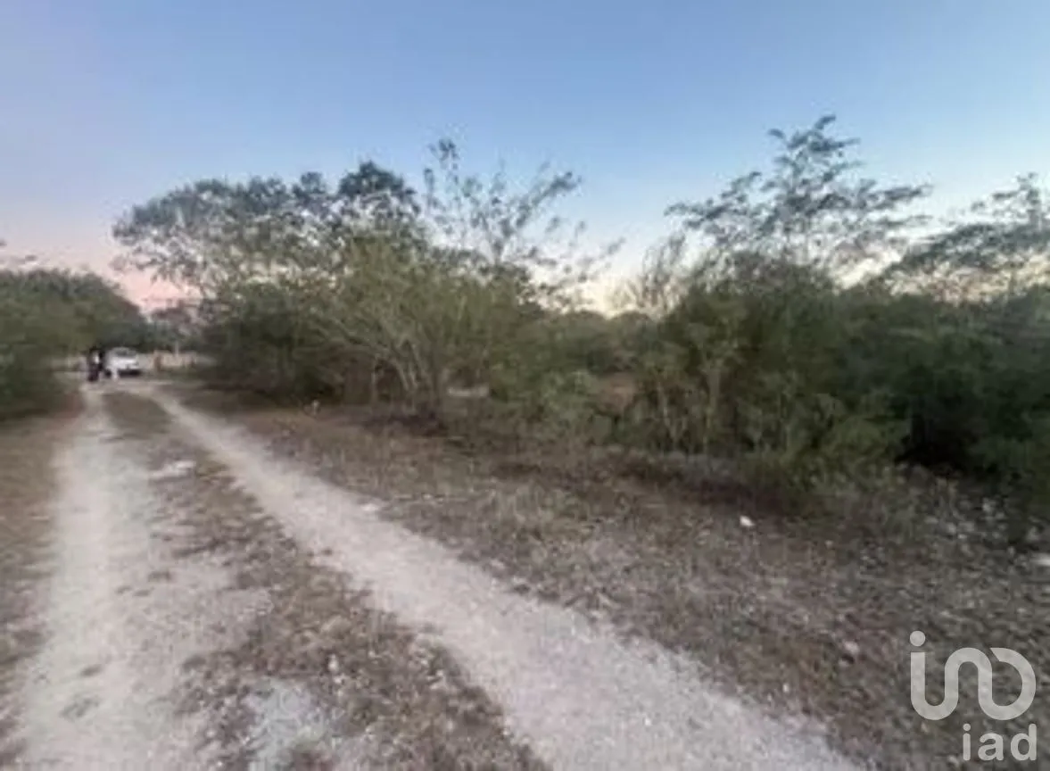 Terreno en Venta en Conkal, Conkal, Yucatán | NEX-279564 | iad México | Foto 3 de 11