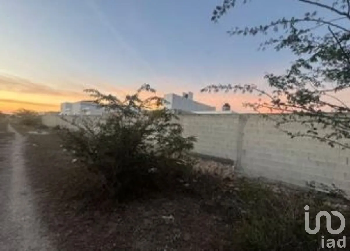 Terreno en Venta en Conkal, Conkal, Yucatán | NEX-279564 | iad México | Foto 8 de 11