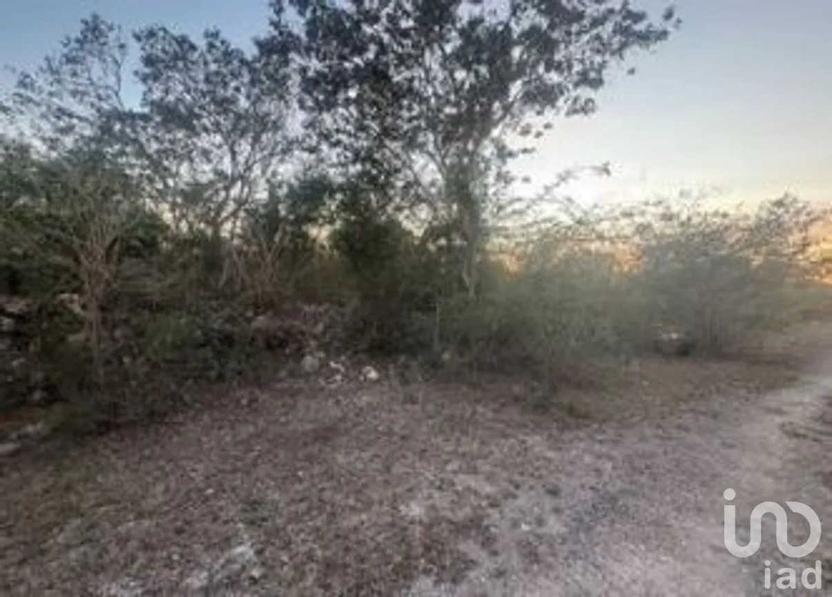 Terreno en Venta en Conkal, Conkal, Yucatán | NEX-279564 | iad México | Foto 9 de 11