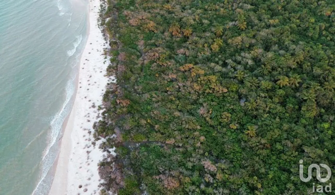 Terreno en Venta en Sisal, Hunucmá, Yucatán | NEX-279568 | iad México | Foto 12 de 14