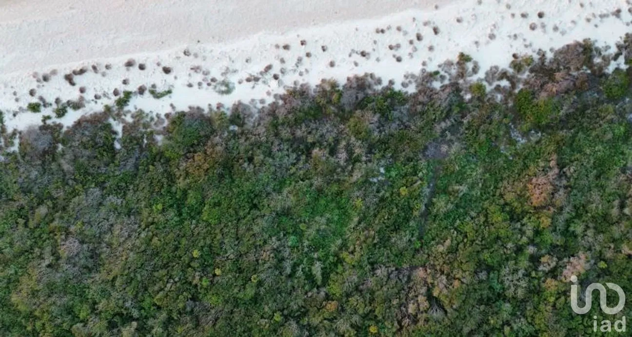 Terreno en Venta en Sisal, Hunucmá, Yucatán | NEX-279568 | iad México | Foto 13 de 14