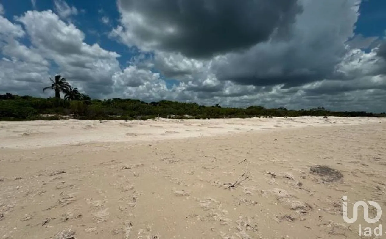 Terreno en Venta en Sisal, Hunucmá, Yucatán | NEX-279568 | iad México | Foto 6 de 14